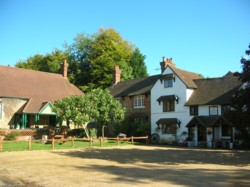 Abinger Common