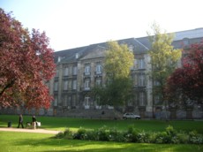 Arras