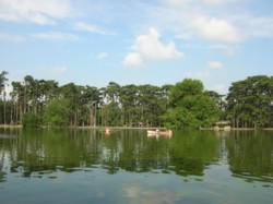 Bois de Boulogne