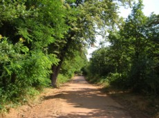 Bois de Boulogne