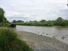 Chiswick