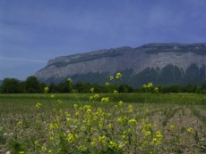 Vallée de Grésivaudan