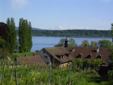 Île de Saint-Pierre