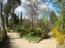 Jardin des plantes