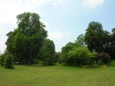 Saint-Germain-en-Laye