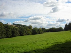 The Rookery